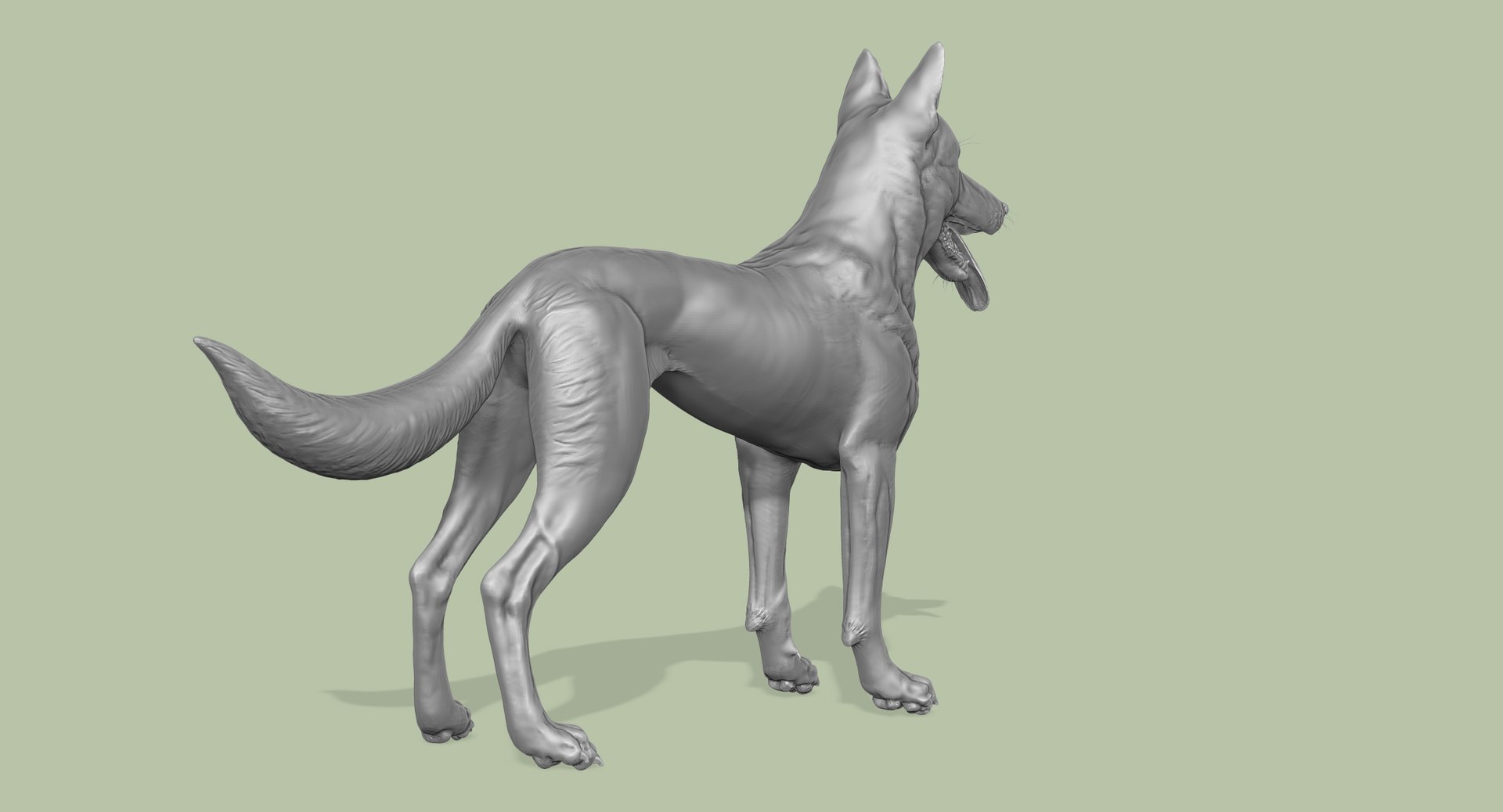 3d obj belgian malinois shepherd dog https://p.turbosquid.com/ts-thumb/El/gD5y5K/FlYmsw1s/4/jpg/1441345412/1920x1080/fit_q87/d918087c62ecdd6f7ecadd75fbee5e39a2f1a8e7/4.jpg