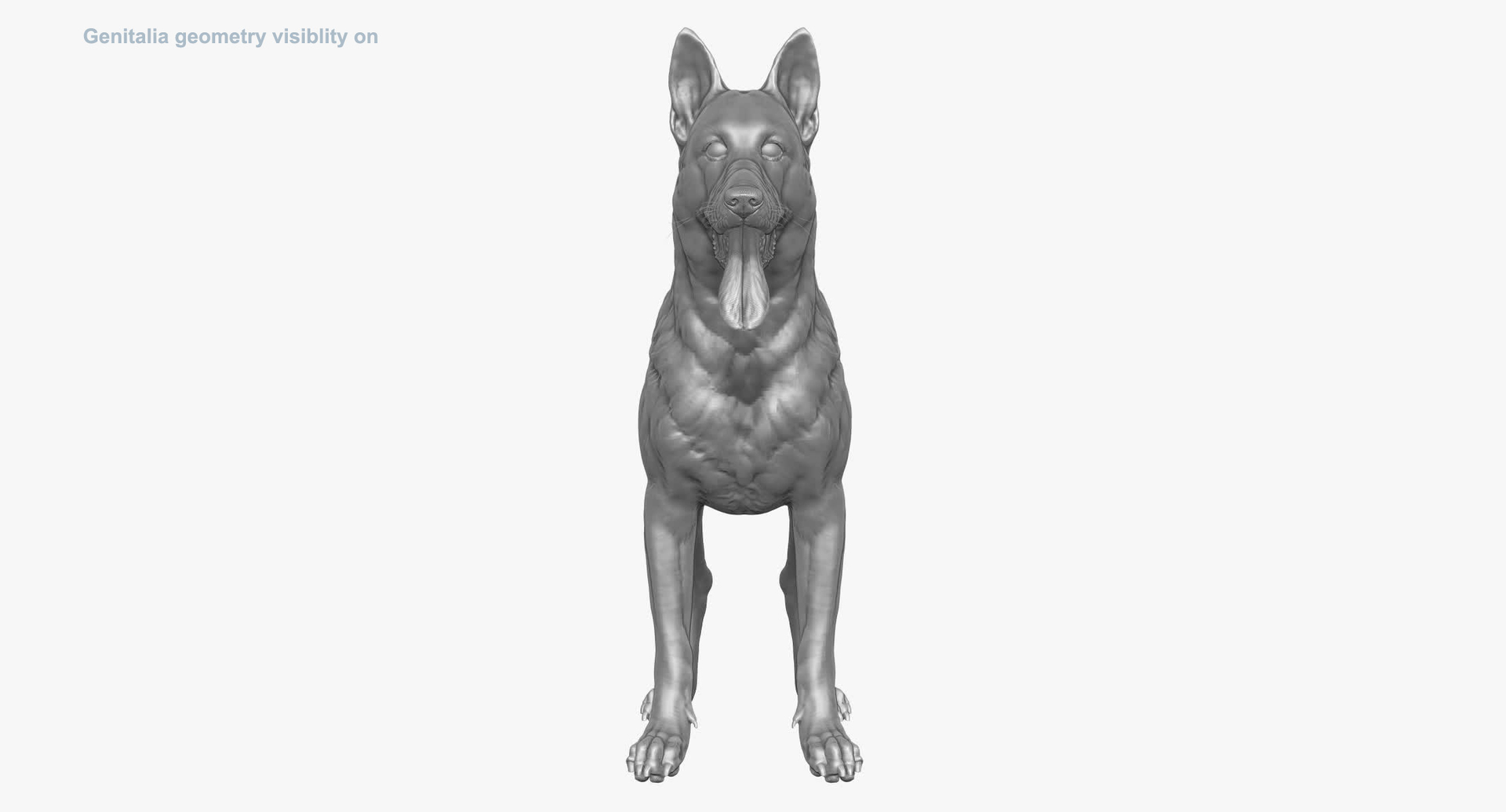 3d obj belgian malinois shepherd dog https://p.turbosquid.com/ts-thumb/El/gD5y5K/GQapLMeG/turna/jpg/1441345423/1920x1080/turn_fit_q99/3db274a76befc006724473544b9cdec3eeac4d9a/turna-1.jpg