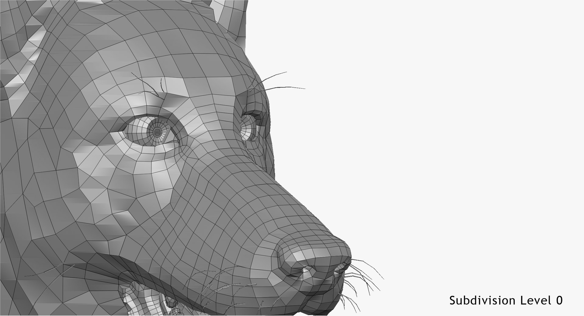 3d obj belgian malinois shepherd dog https://p.turbosquid.com/ts-thumb/El/gD5y5K/O5vr1ouM/w8/jpg/1441345413/1920x1080/fit_q87/fb14bd1595a14f78d5f6537a96a53c3b84bb8a82/w8.jpg