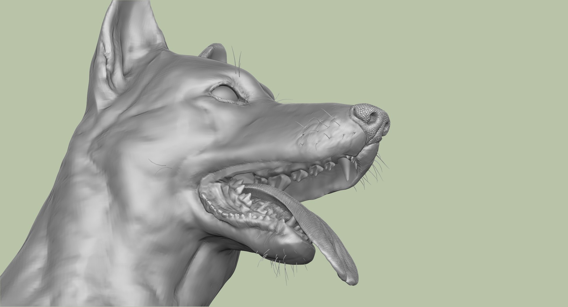 3d obj belgian malinois shepherd dog https://p.turbosquid.com/ts-thumb/El/gD5y5K/OTG7sDW9/12/jpg/1441345412/1920x1080/fit_q87/9dc6b405b67f1a31596223b7a38b4d2d6ece45f8/12.jpg