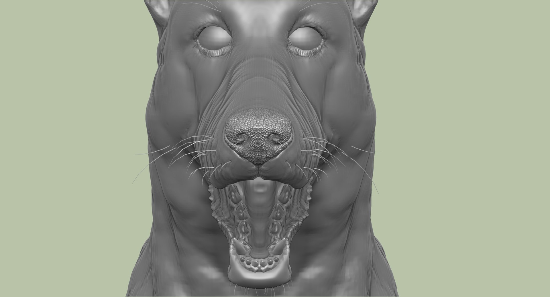 3d obj belgian malinois shepherd dog https://p.turbosquid.com/ts-thumb/El/gD5y5K/QPn24G6b/16/jpg/1441345413/1920x1080/fit_q87/df91a8b732e9c7dcb17a5dd513bbc3451ebdc454/16.jpg