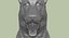 Zbrush Shepherd Dog (벨기에 말리노) UVed