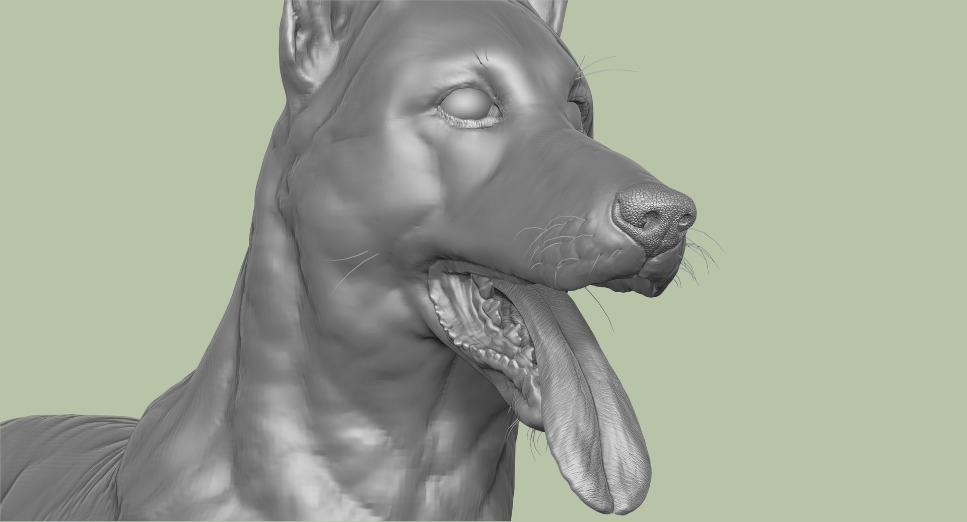 3d obj belgian malinois shepherd dog https://p.turbosquid.com/ts-thumb/El/gD5y5K/VnfK6vkg/10/jpg/1441345412/1920x1080/fit_q87/1713b93b6d78b697546eef8506915d6a41094526/10.jpg