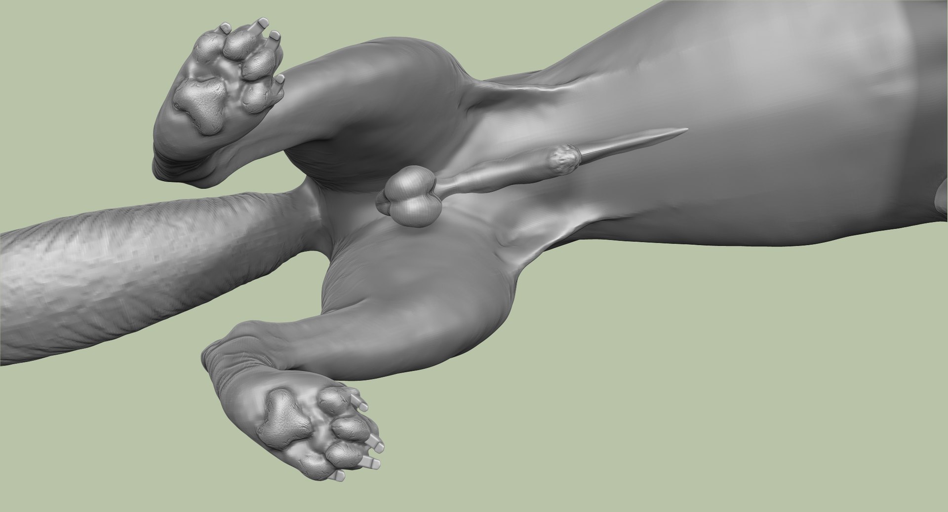 3d obj belgian malinois shepherd dog https://p.turbosquid.com/ts-thumb/El/gD5y5K/XgfTSDdt/19/jpg/1441345413/1920x1080/fit_q87/8d73e4b02c2bca8bda0ffbce1dfdaddab5b49129/19.jpg