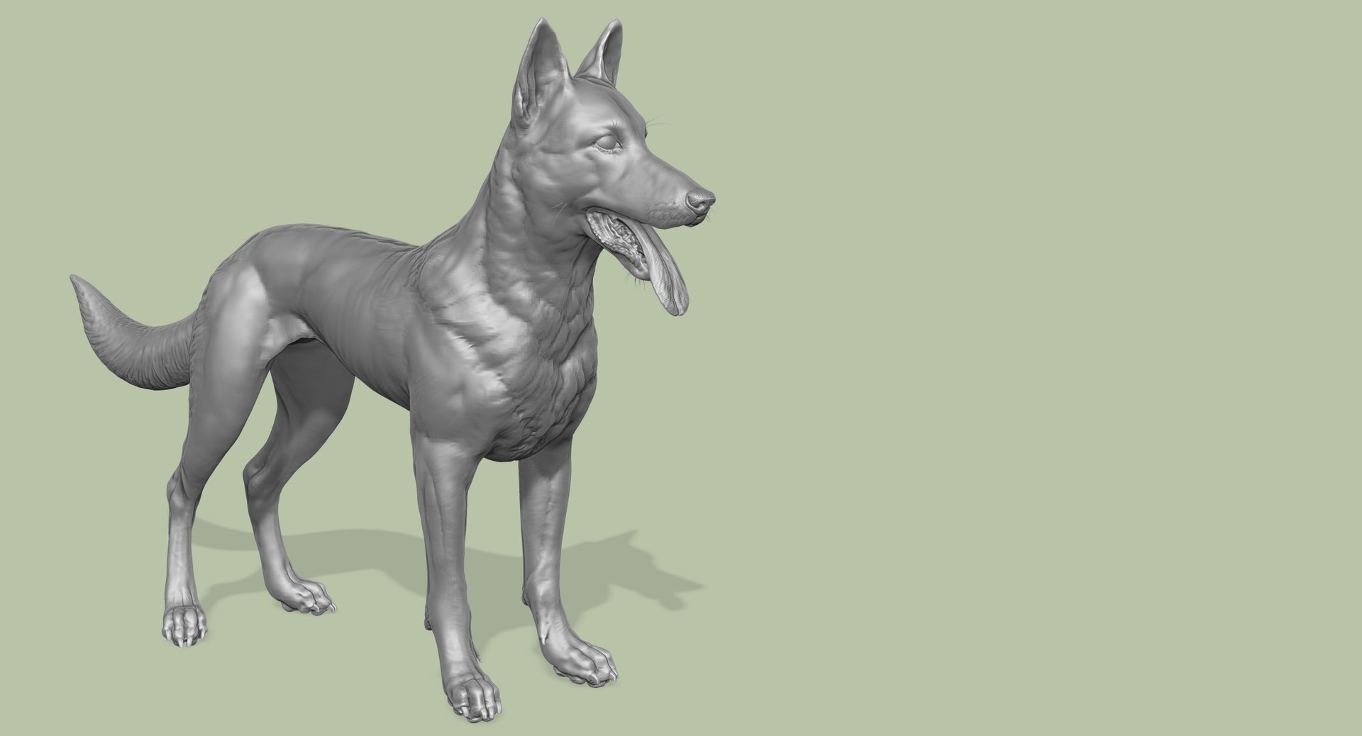 3d obj belgian malinois shepherd dog https://p.turbosquid.com/ts-thumb/El/gD5y5K/YIeAN4Xj/1/jpg/1441345412/1920x1080/fit_q87/fe963116e342d17687b04541f17dfa41b359348a/1.jpg