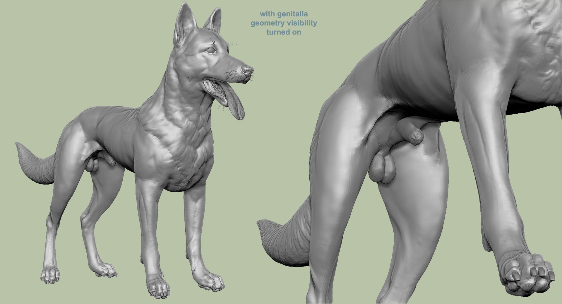 3d obj belgian malinois shepherd dog https://p.turbosquid.com/ts-thumb/El/gD5y5K/YSCKQoIk/17/jpg/1441345413/1920x1080/fit_q87/4a6e729e08424c03d55ec806462c3fbb422d422d/17.jpg