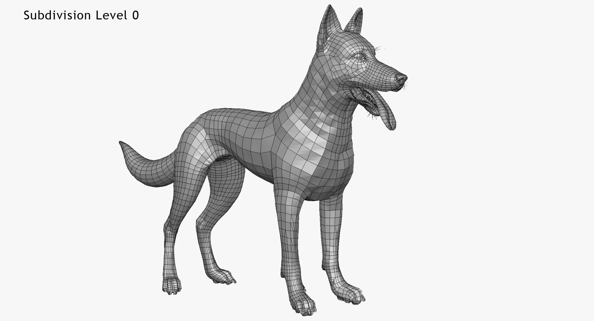 3d obj belgian malinois shepherd dog https://p.turbosquid.com/ts-thumb/El/gD5y5K/ZHwJX9Ee/w2/jpg/1441345413/1920x1080/fit_q87/f0f1f341c34b026d4da92e911c983fd6e3dab725/w2.jpg
