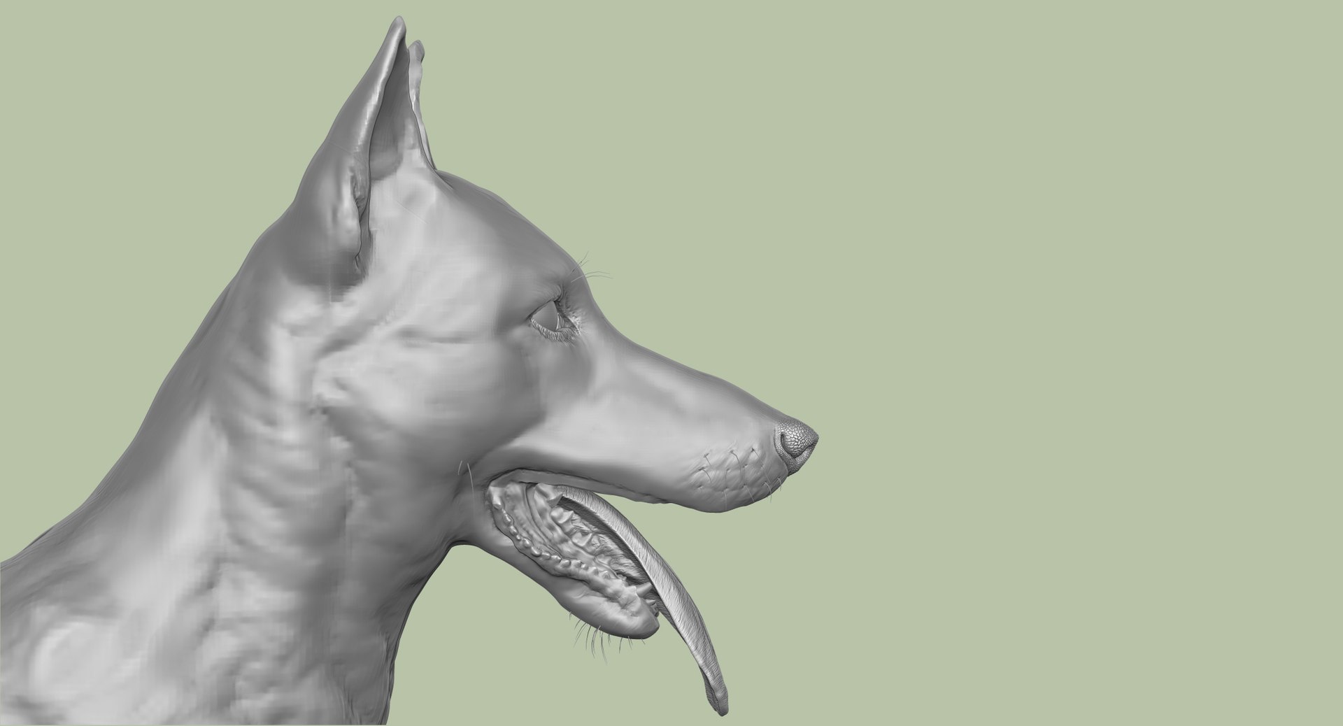3d obj belgian malinois shepherd dog https://p.turbosquid.com/ts-thumb/El/gD5y5K/ZuxxU3qa/9/jpg/1441345412/1920x1080/fit_q87/fe6a0ea08c6b2d5a24cae365508fa82076753e7c/9.jpg