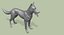 Zbrush Shepherd Dog (벨기에 말리노) UVed