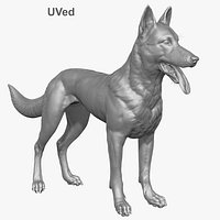 Zbrush Shepherd Dog(Belgian Malinois) UVed