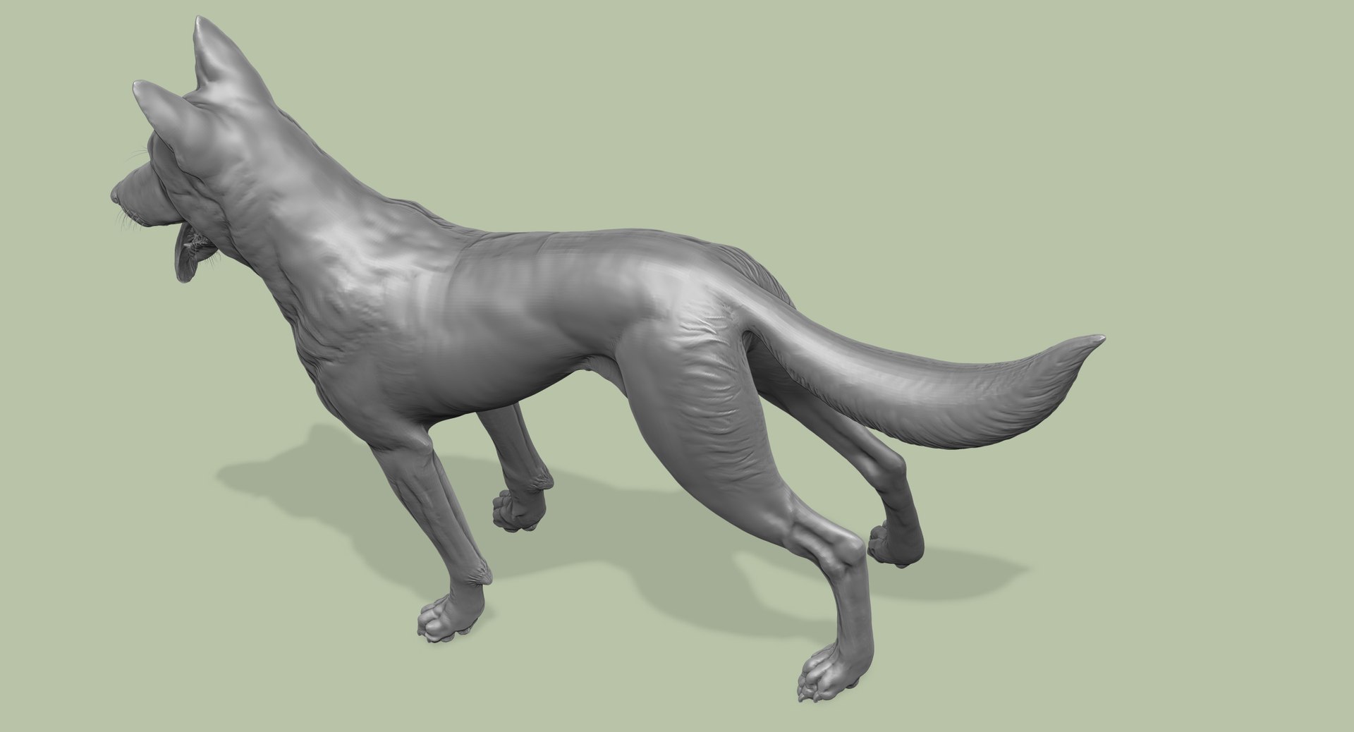 3d obj belgian malinois shepherd dog https://p.turbosquid.com/ts-thumb/El/gD5y5K/tkYtIBTw/5/jpg/1441345412/1920x1080/fit_q87/79684eaafac7554d9587e9ff393cca577ccc4019/5.jpg