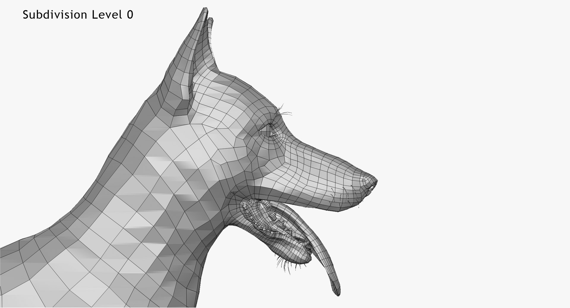 3d obj belgian malinois shepherd dog https://p.turbosquid.com/ts-thumb/El/gD5y5K/wYo28rrP/w5/jpg/1441345413/1920x1080/fit_q87/d45ec3fab6abb918fb1e1c70621ca047c3ee2d90/w5.jpg