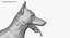 Zbrush Shepherd Dog (벨기에 말리노) UVed