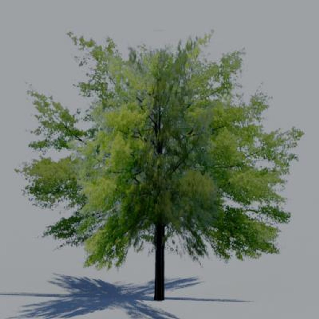 3ds Max Trees