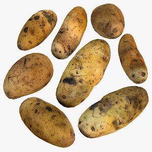 3D Potato model