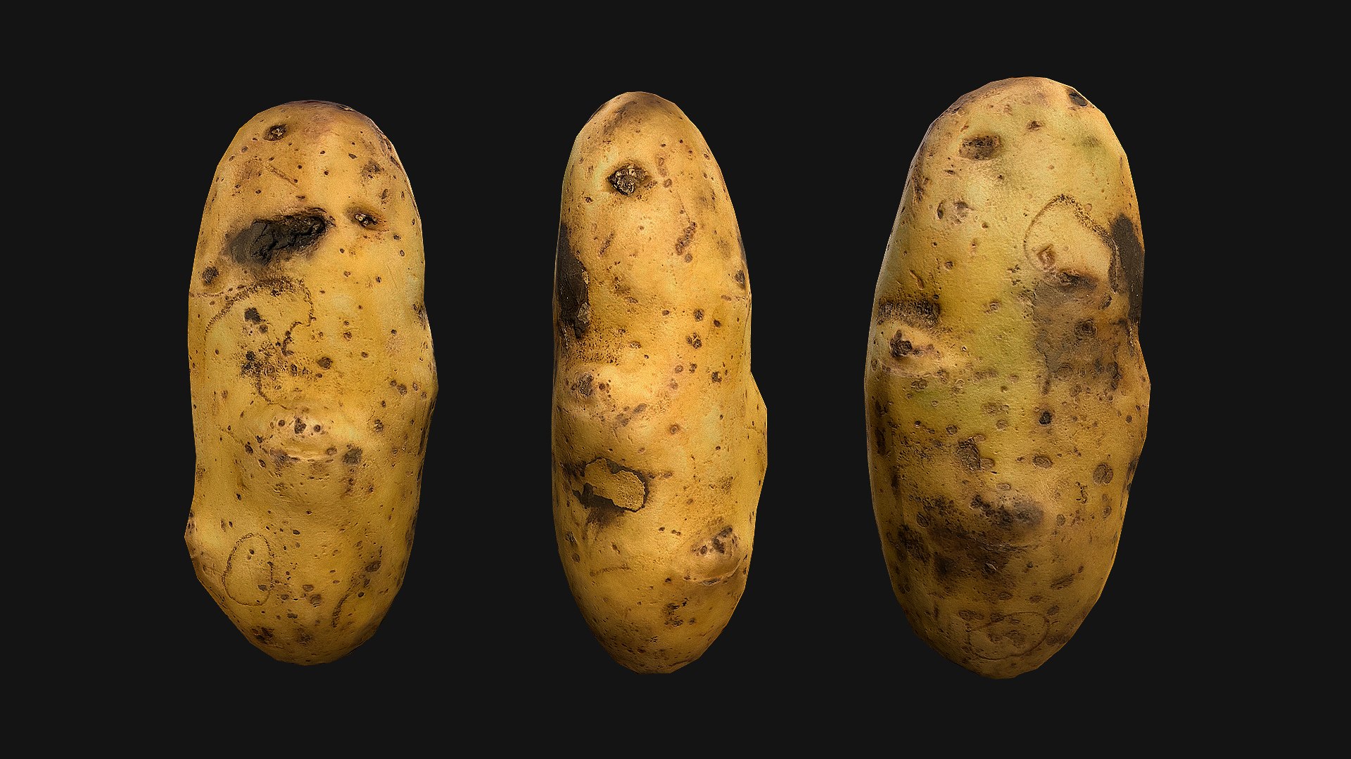 3D Potato Model - TurboSquid 1915723
