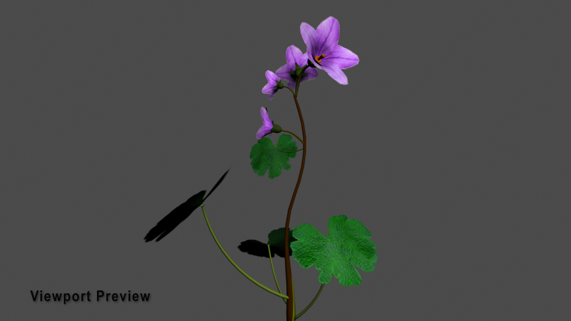 3D Flowers Open Animation Model - TurboSquid 1586196