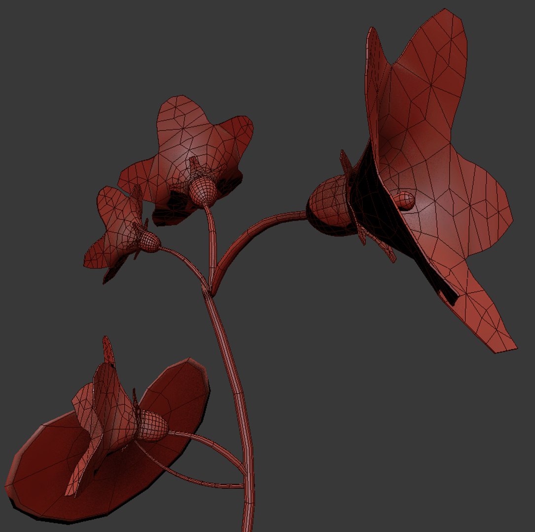 3D Flowers Open Animation Model - TurboSquid 1586196