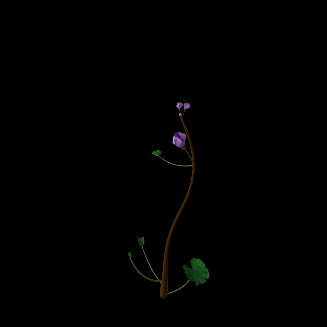 3D Flowers Open Animation Model - TurboSquid 1586196