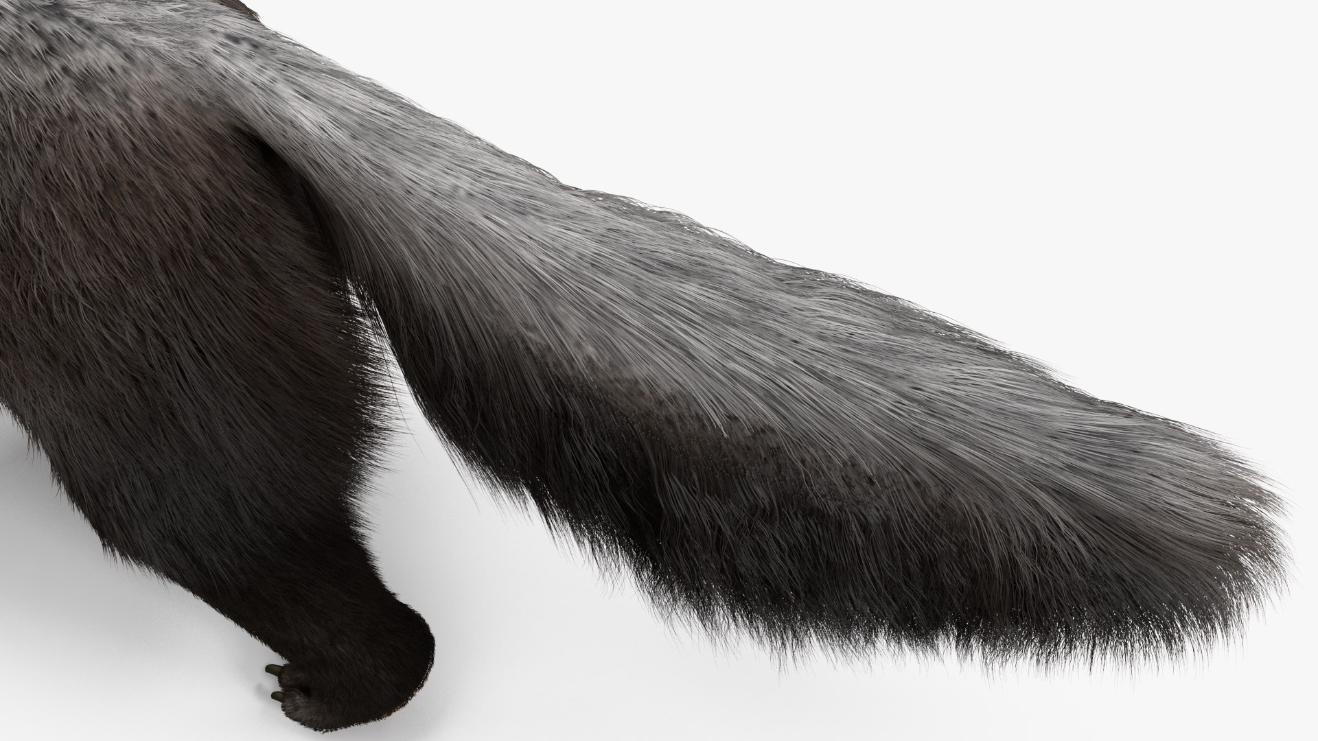 Anteater Walking Pose Fur 3D model https://p.turbosquid.com/ts-thumb/Em/AMPy1W/D3/anteaterwalkingposefur3dsmodel017/jpg/1642090339/1920x1080/fit_q87/f681abc529a1adabd7597e403838a11e43942528/anteaterwalkingposefur3dsmodel017.jpg