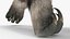 Pelliccia di posa a piedi del formichiere