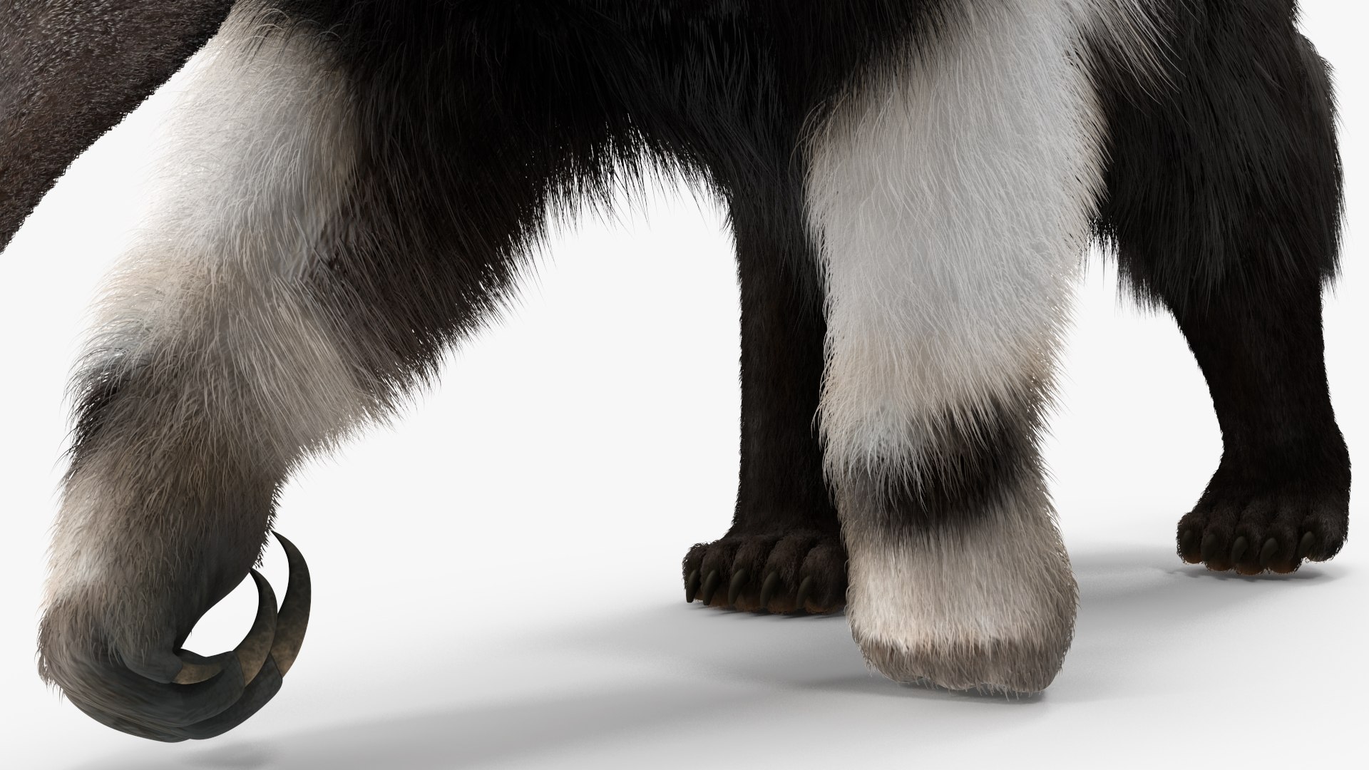 Anteater Walking Pose Fur 3D model https://p.turbosquid.com/ts-thumb/Em/AMPy1W/iE/anteaterwalkingposefur3dsmodel015/jpg/1642090333/1920x1080/fit_q87/ac5c7718280e3252461bfabc55ee2e40439fe5d6/anteaterwalkingposefur3dsmodel015.jpg