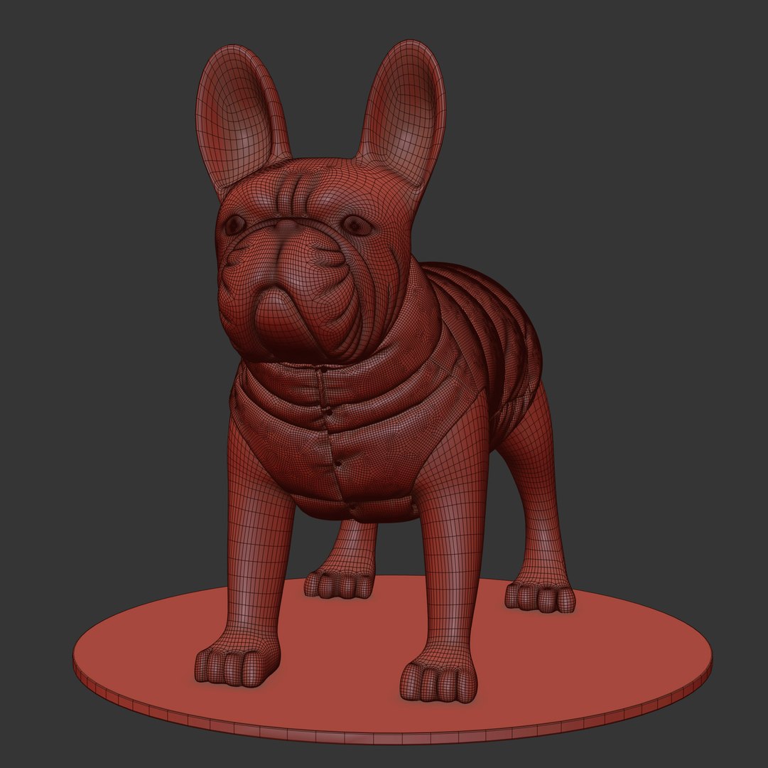 3D Model Mondog Pet Outfitters Poldo Dog Couture - TurboSquid 1755813