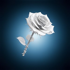 3D Classic Rose Bloom 3D Print Model