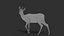 Gazelle Xgen