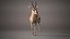 Gazelle Xgen