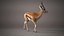 Gazelle Xgen