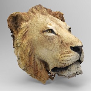 3D lion head model