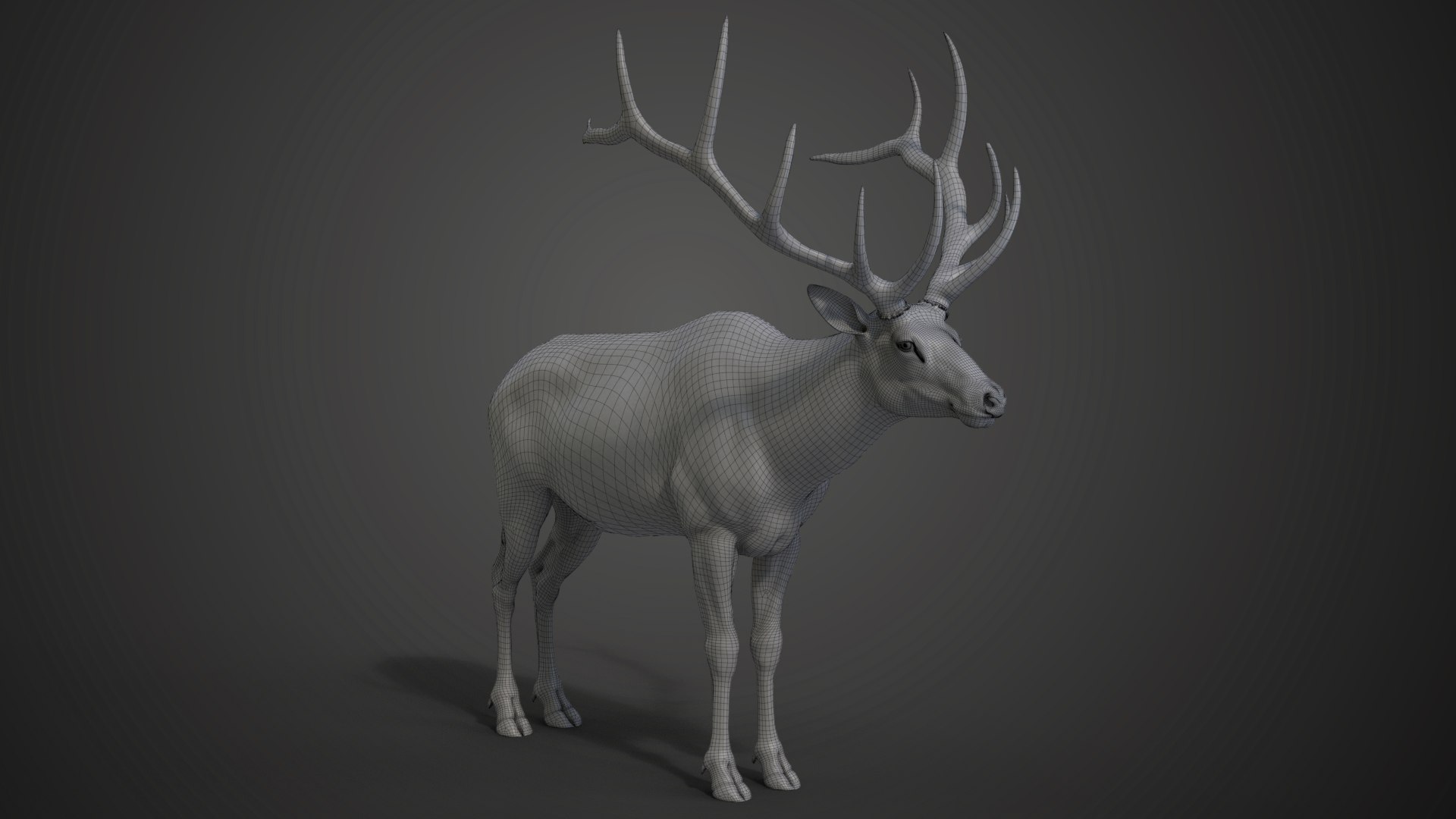 3D Male Elk Animated model https://p.turbosquid.com/ts-thumb/Em/PaYLcj/aj/jf0l811a4_maleelk_wire01/png/1664524167/1920x1080/fit_q87/09e99ce8c6c96c00234248f0a7b770ccd181a043/jf0l811a4_maleelk_wire01.jpg