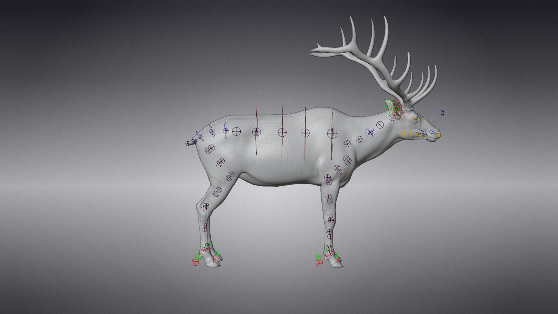 3D Male Elk Animated model https://p.turbosquid.com/ts-thumb/Em/PaYLcj/cS/jf0l811a4_maleelk_rig04/png/1664524128/1920x1080/fit_q87/0af71a23afddedb1726c515538783a94325c2d81/jf0l811a4_maleelk_rig04.jpg