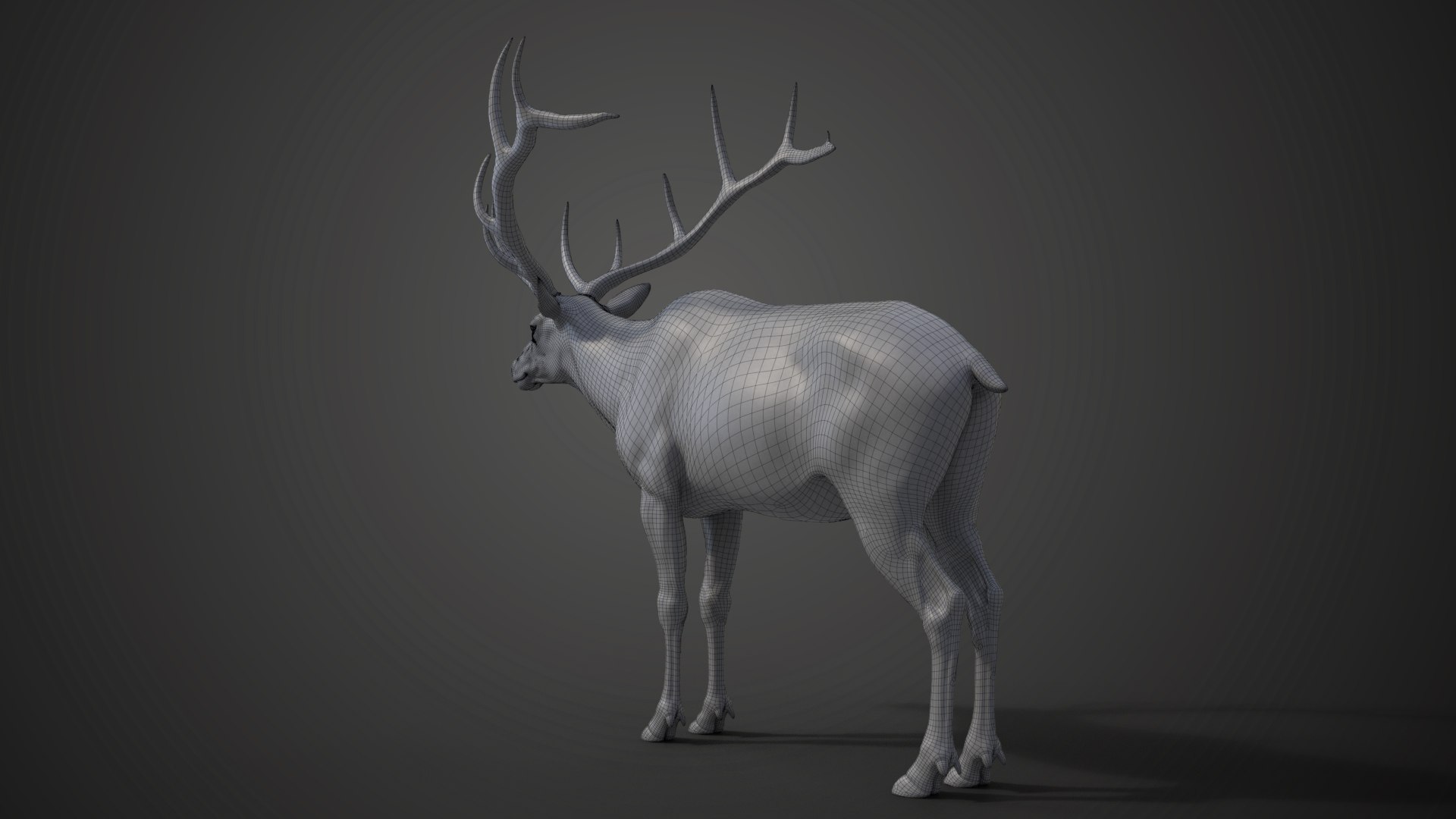 3D Male Elk Animated model https://p.turbosquid.com/ts-thumb/Em/PaYLcj/fl/jf0l811a4_maleelk_wire03/png/1664524158/1920x1080/fit_q87/5bbc0a1eef4d0a9966527ea0a9550778643da4a5/jf0l811a4_maleelk_wire03.jpg