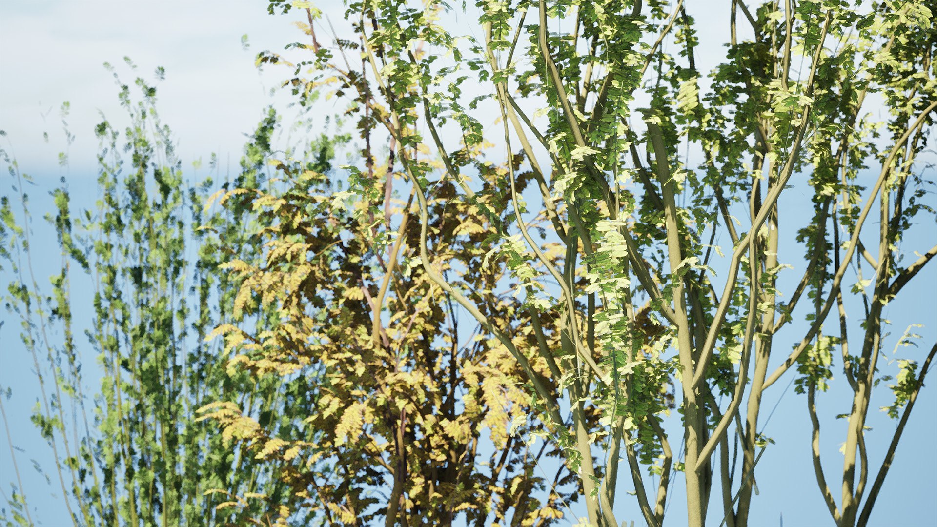 Arran Whitebeam 3D Models 3D https://p.turbosquid.com/ts-thumb/Em/RwPcen/7E/highresscreenshot00002/jpg/1756731646/1920x1080/fit_q87/b8c6f03ccd6bcd390974acdc8fa6b92dec4406c9/highresscreenshot00002.jpg