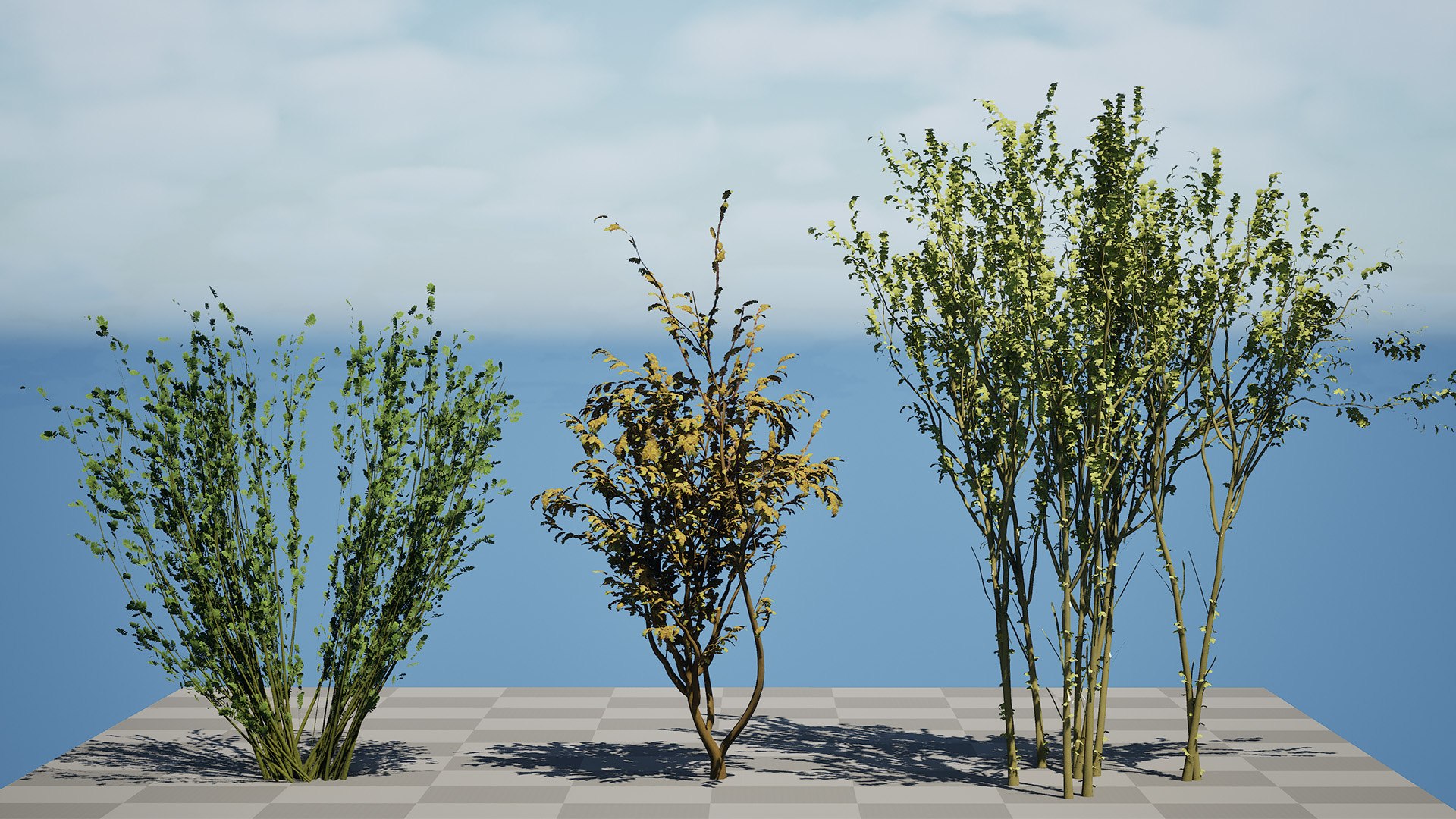 Arran Whitebeam 3D Models 3D https://p.turbosquid.com/ts-thumb/Em/RwPcen/RV/highresscreenshot00001/jpg/1756731641/1920x1080/fit_q87/f172b7376d174a0b738aaa122ae95c101b1ebee8/highresscreenshot00001.jpg
