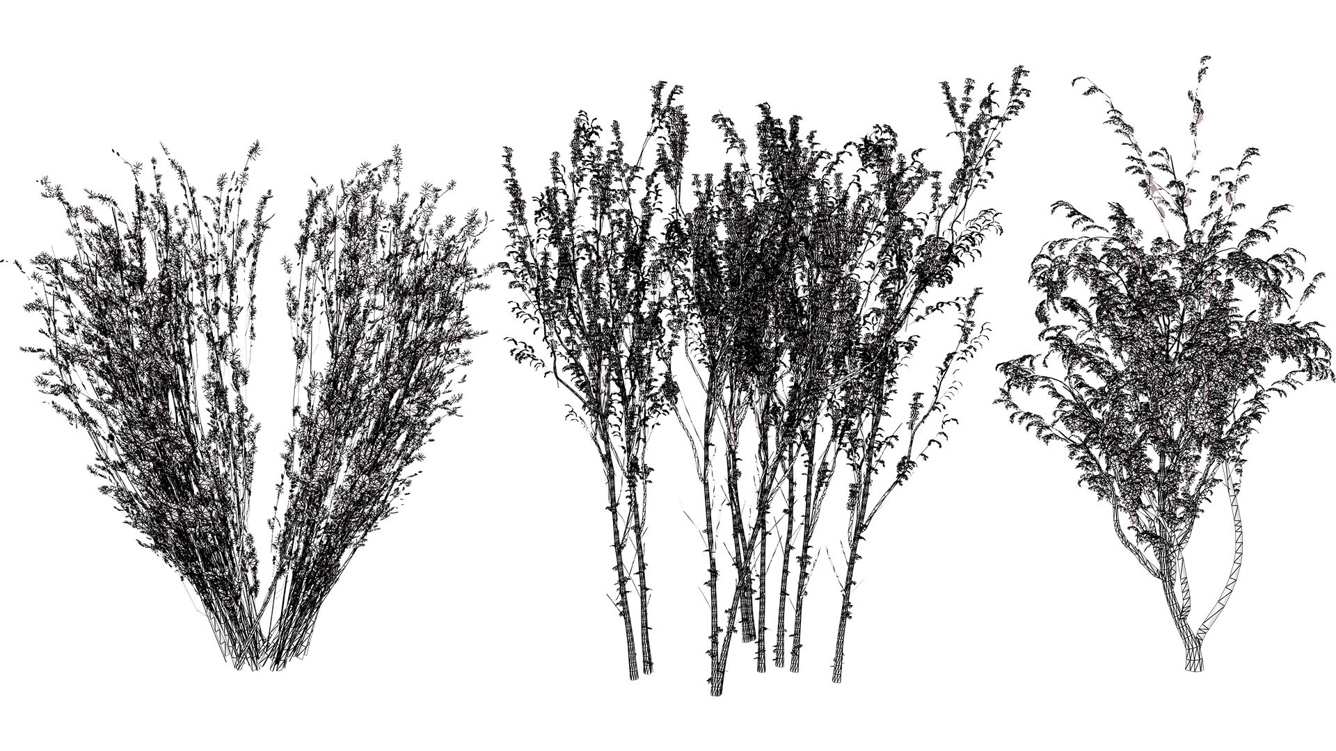 Arran Whitebeam 3D Models 3D https://p.turbosquid.com/ts-thumb/Em/RwPcen/SW/wirel/jpg/1756731644/1920x1080/fit_q87/1143e460fb9a3069d7ac4b24db485a0e82c84e2b/wirel.jpg