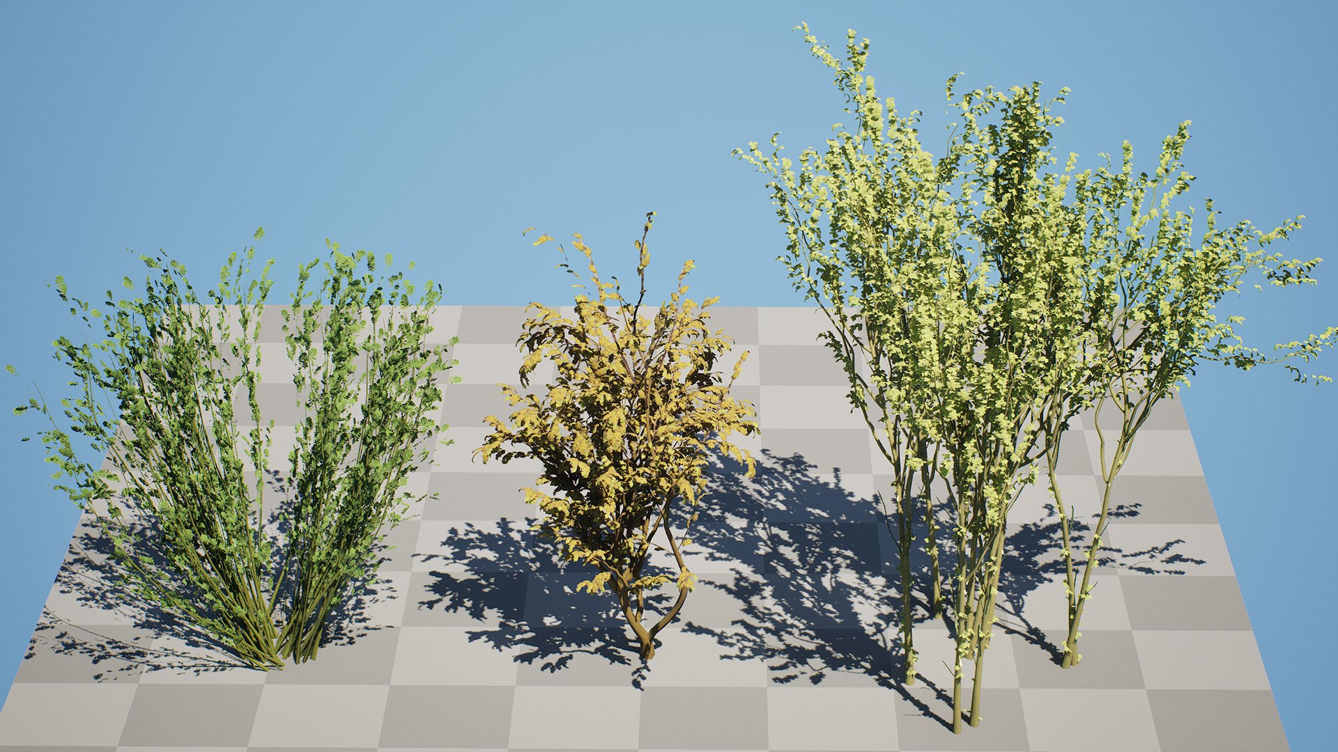 Arran Whitebeam 3D Models 3D https://p.turbosquid.com/ts-thumb/Em/RwPcen/jI/highresscreenshot00000/jpg/1756731641/1920x1080/fit_q87/c830ff3e48f4ad4fae565dd54a231d95adab5b41/highresscreenshot00000.jpg