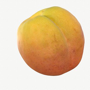 02 hy apricot fruit 3D model
