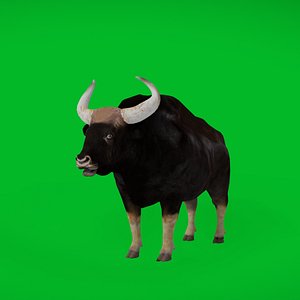 3D model Gaur Indian Bison