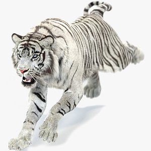 Animated White Tiger Fur
