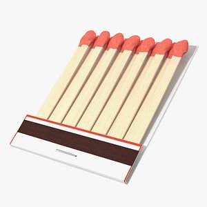 Matches without Cover 3D model