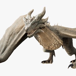 Green Wyvern Dragon Animated