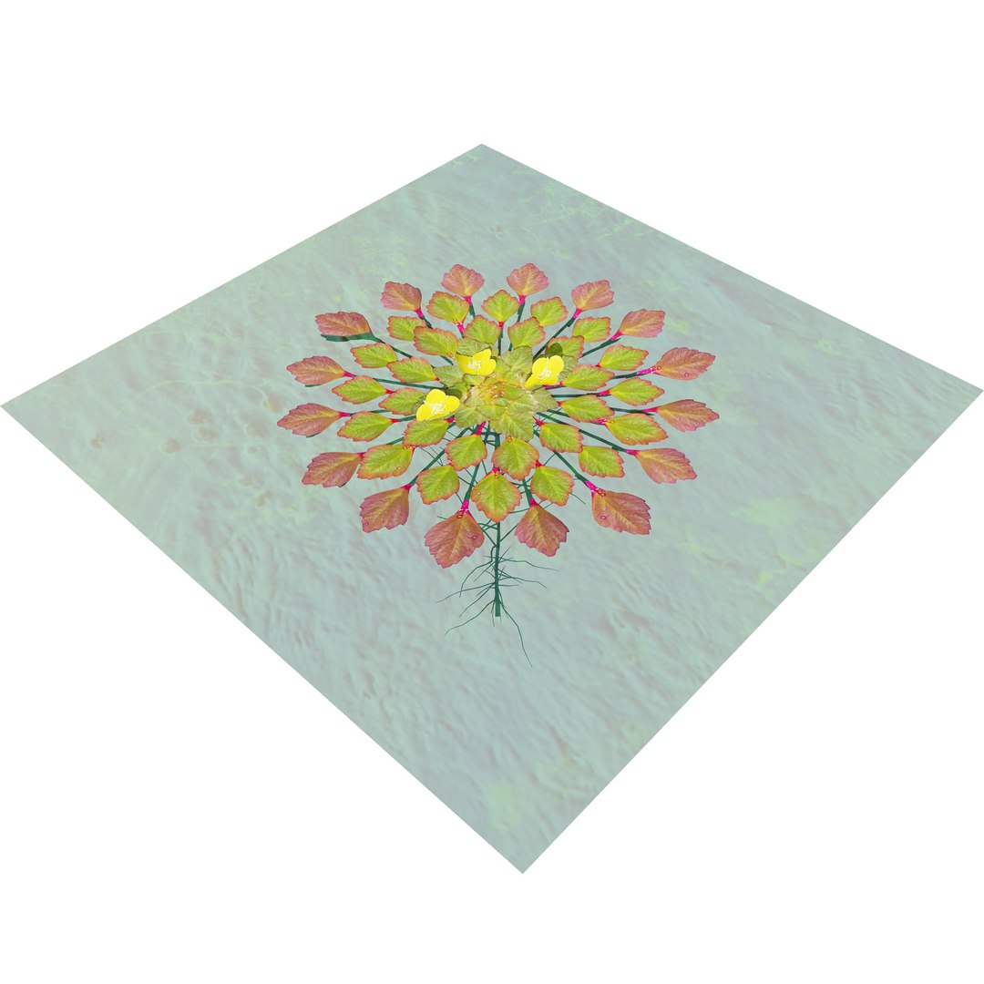 3D Aquatic Flora 3D Model https://p.turbosquid.com/ts-thumb/Em/toPWy7/aZ/tree_4/jpg/1729110172/1920x1080/fit_q87/773ac3f7bf6ccb646f0f97556353d07e7c5b96c8/tree_4.jpg