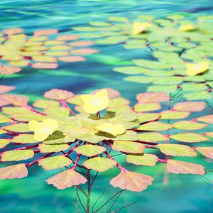 3D Aquatic Flora 3D Model