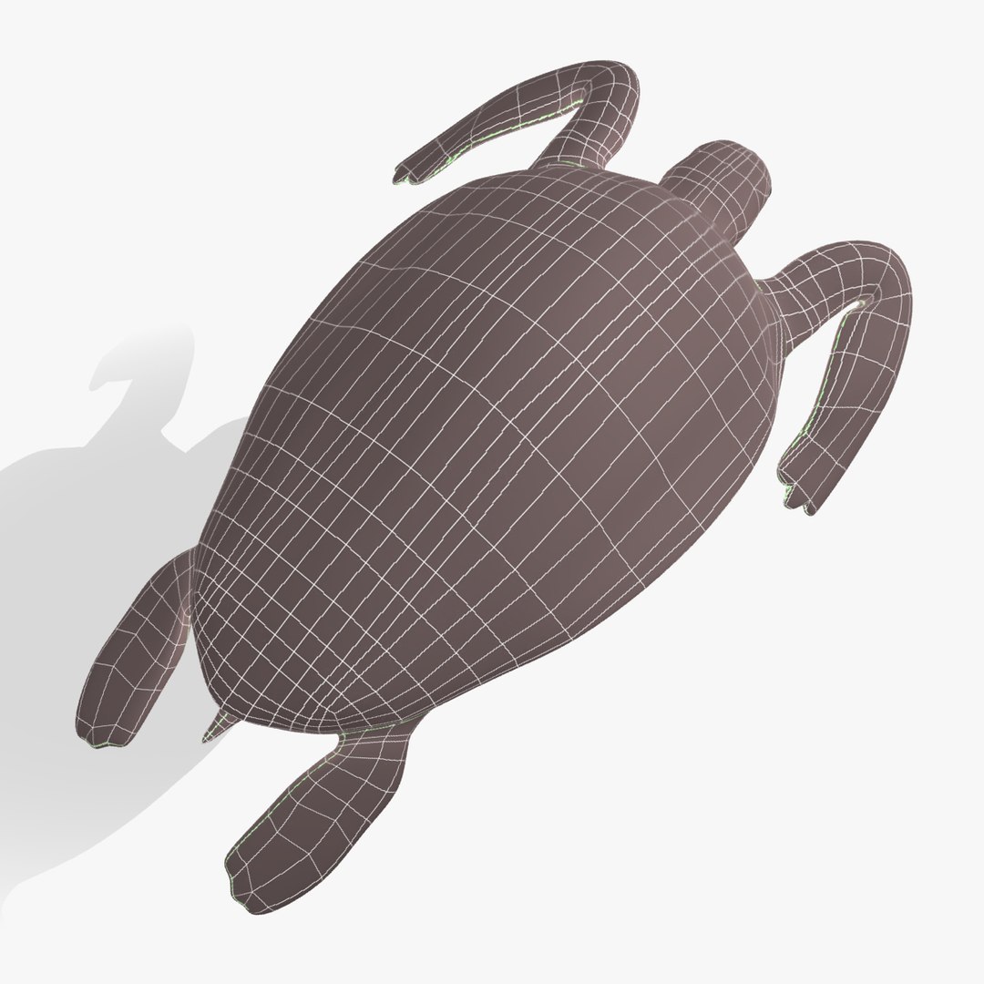 Turtle Loggerhead 3d Max