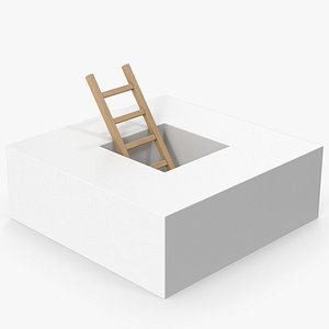 Wooden Ladder And Hole 3D model
