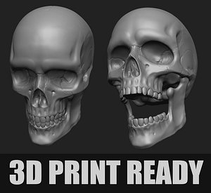 Articulated Human Skull for 3D printing