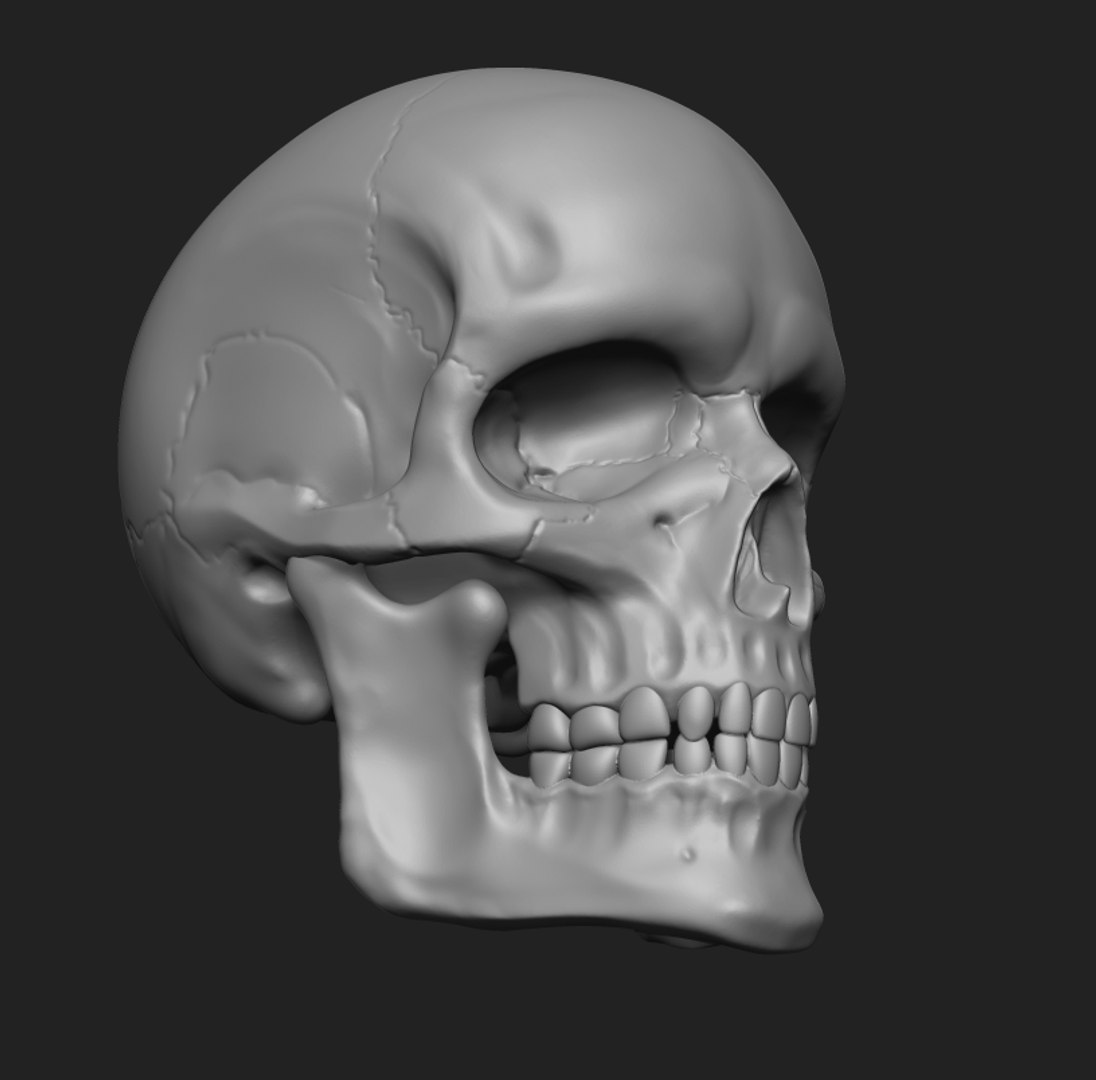 anatomy human skull printing 3D model https://p.turbosquid.com/ts-thumb/Em/zEoo4M/HnAGk83i/1/png/1514278041/1920x1080/fit_q87/e0537e774725db1d171e4303e2e6458d3ee33c1a/1.jpg